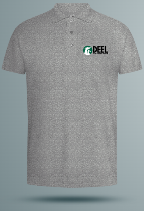 DEEL polo shirt (men's)