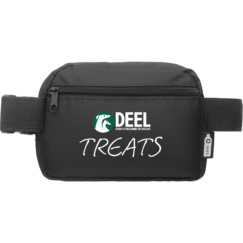 DEEL treat pouch