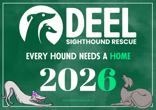 2026 DEEL Sighthound Rescue Calendar (Pre-Order)