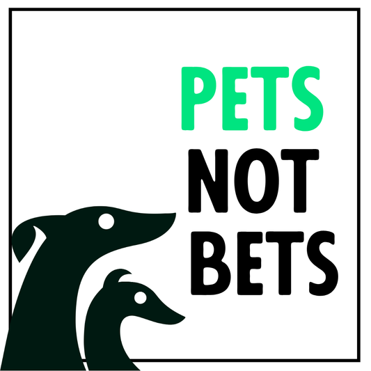 Pets Not Bets Sticker