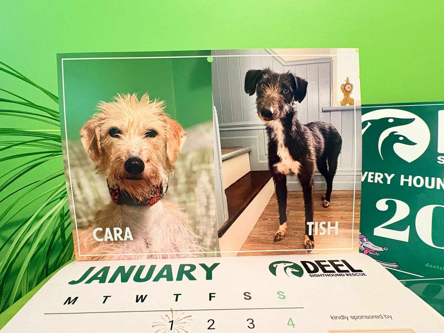 2026 DEEL Sighthound Rescue Calendar