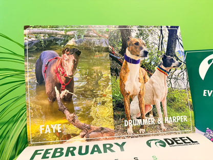 2026 DEEL Sighthound Rescue Calendar