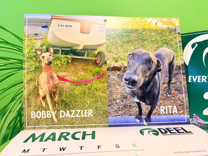 2026 DEEL Sighthound Rescue Calendar