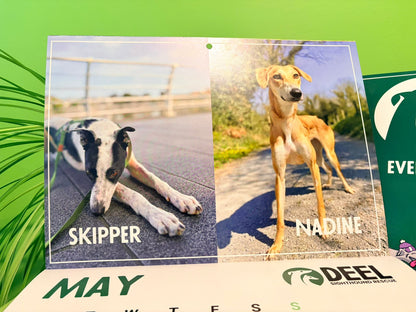 2026 DEEL Sighthound Rescue Calendar