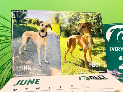 2026 DEEL Sighthound Rescue Calendar
