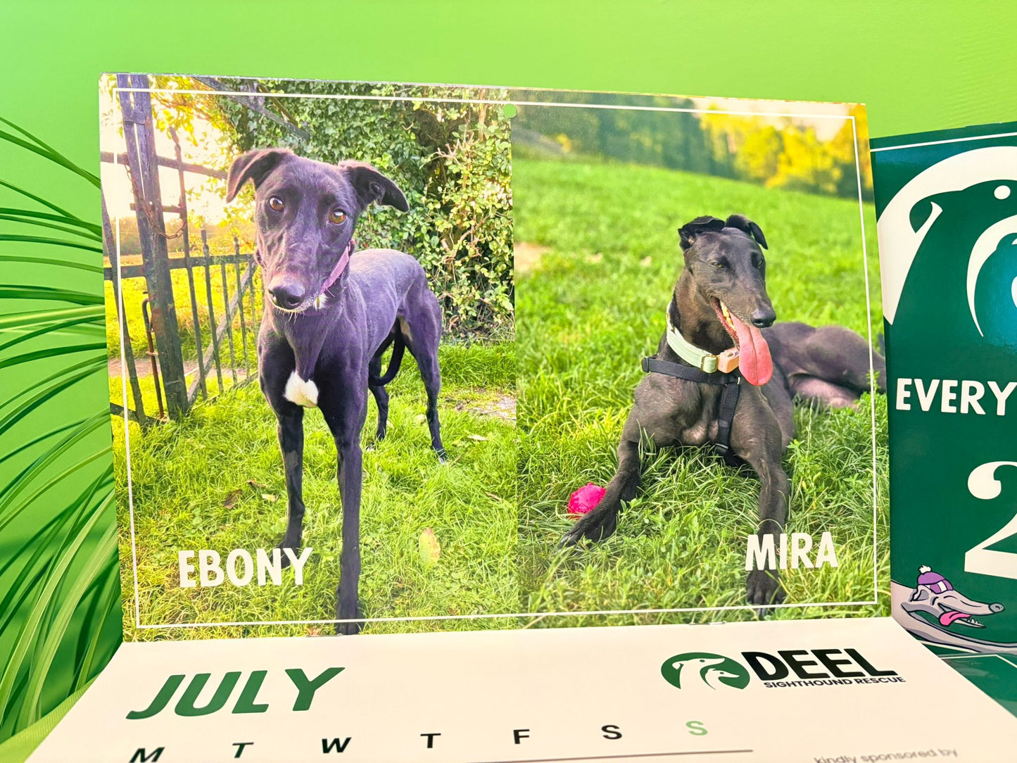 2026 DEEL Sighthound Rescue Calendar