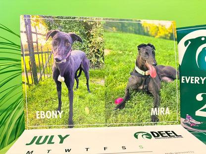 2026 DEEL Sighthound Rescue Calendar