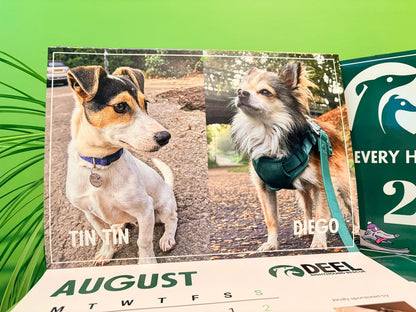 2026 DEEL Sighthound Rescue Calendar