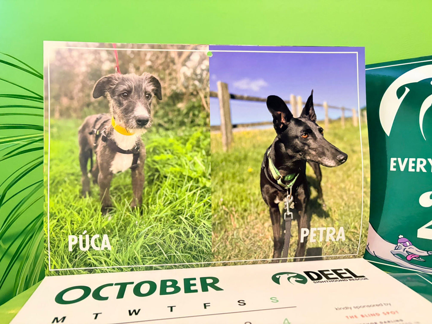 2026 DEEL Sighthound Rescue Calendar
