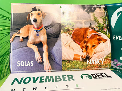 2026 DEEL Sighthound Rescue Calendar