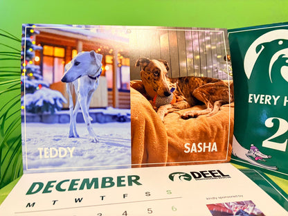 2026 DEEL Sighthound Rescue Calendar