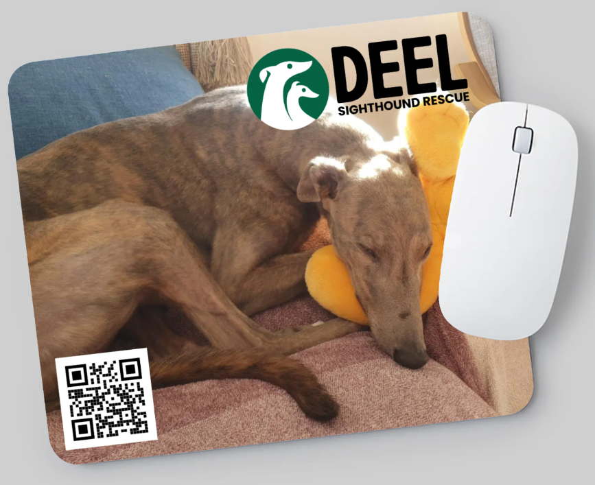 DEEL Mouse Pad