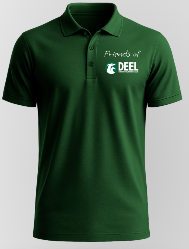 DEEL logo polo